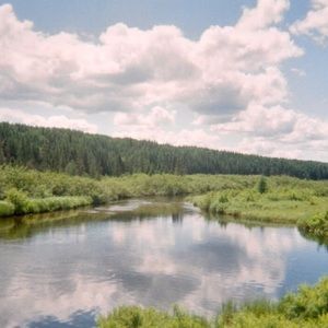 meet your posher, marie-laurence <3